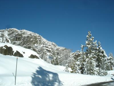 Picture 177.jpg