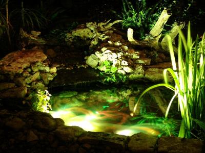 pond lighting 2005