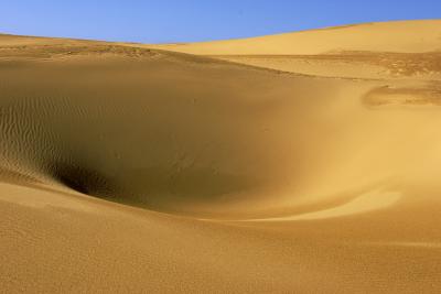 Dune2.jpg