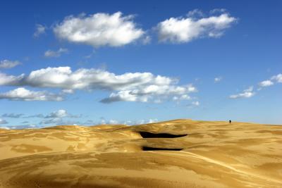 Dune3.jpg