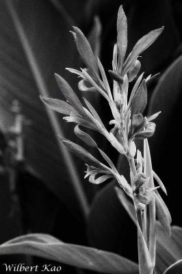CRW_0069.jpg