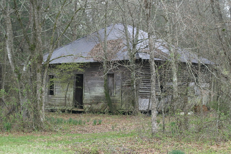 dentville 1.jpg