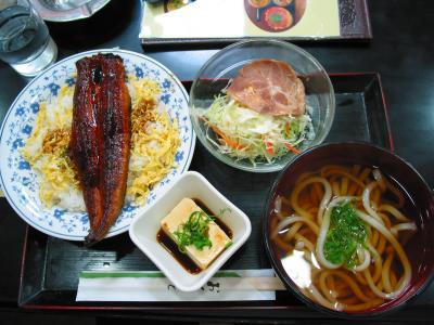 Lunch: Eel on rice, salad, tofu and noodle