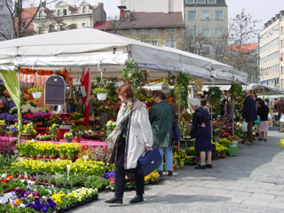 Viktualienmarkt