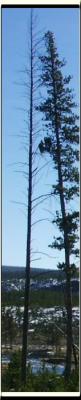 PICT0091.jpg