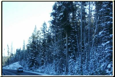 PICT0194.jpg