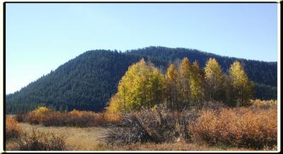 PICT0233.jpg