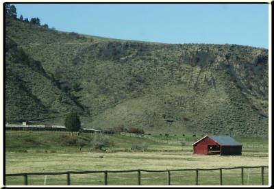 PICT0352.jpg