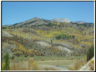 More pics from yellowstone