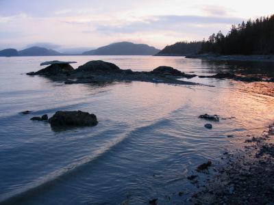 Parc du Bic , mare montante