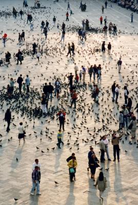 Pigeons et touristes , Place Saint-Marc , Venise