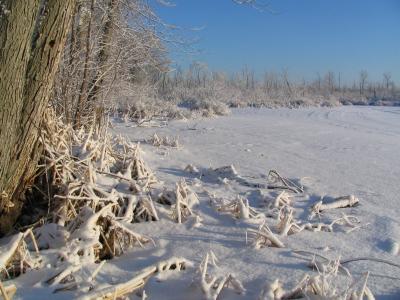 u17/zobroc/medium/42445835.HIVER_KNOWLTON.jpg