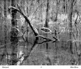 Zone 8 Photographic Society - DRAWN BY LIGHT - Book of Personal Images