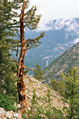 Lighting strike, Beartooth.