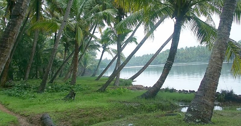 Kerala - My home state - Gods Own Country