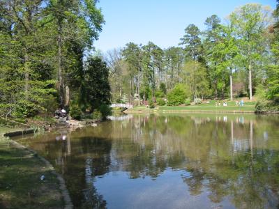 u18/abundancetrek/medium/15462220.1010149_IMG.jpg