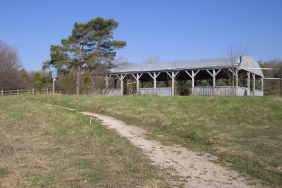 CRW_7400.jpg