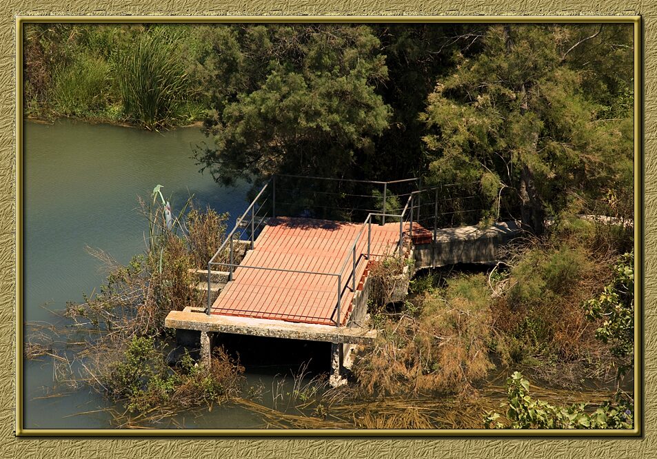 The Bridge