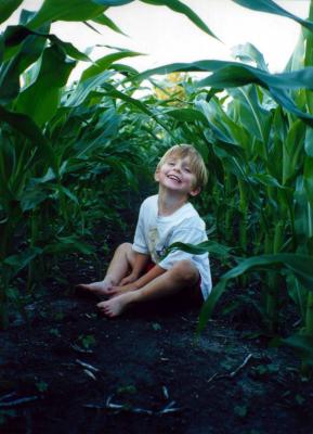 Toby Of The Corn