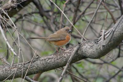 DSC_6076.jpg