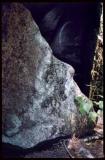 Zelandonii head