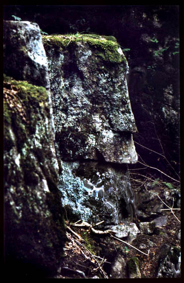 Totem