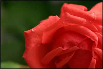 IMG_2823e.jpg