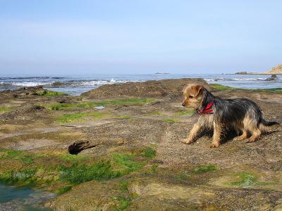 Ronja in Capo Pecora / Sardegna