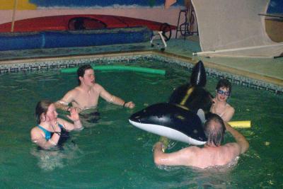 killerwhale volleyball