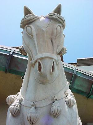 HorseHead.jpg