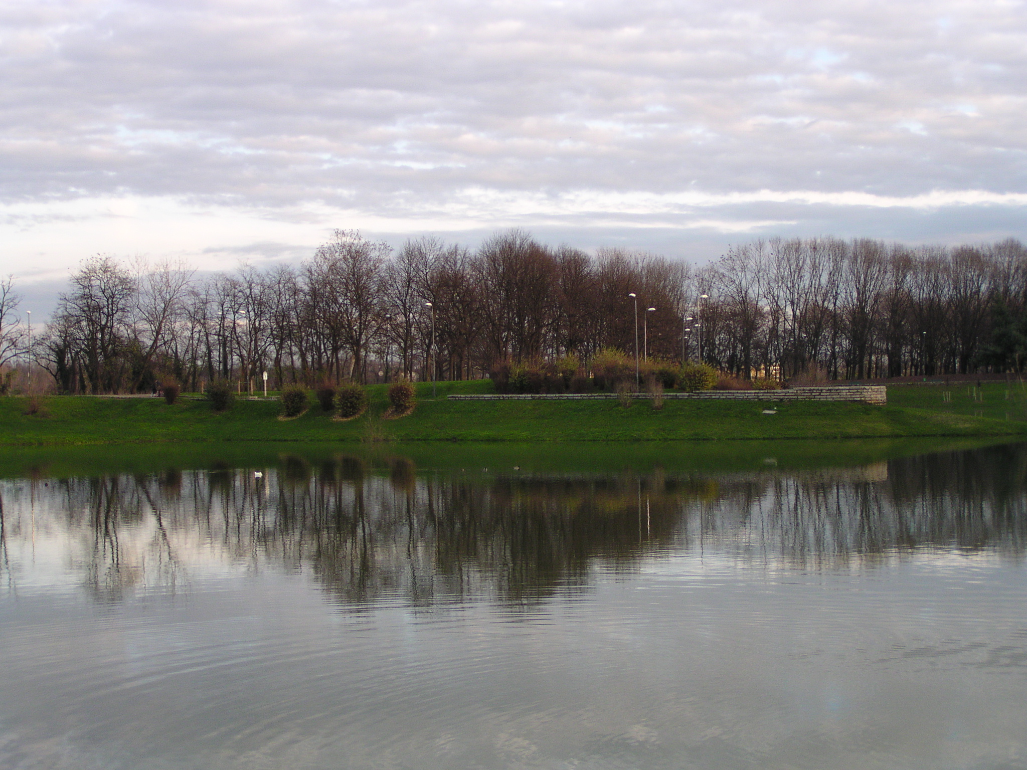 park.JPG