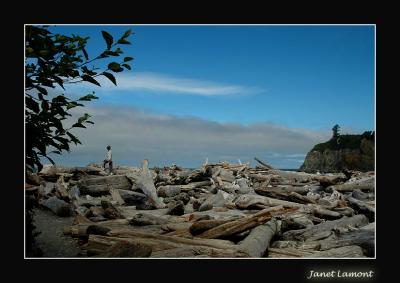 u18/aquaholic2/medium/32979266.DSC_0001E.jpg