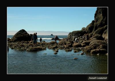 u18/aquaholic2/medium/32979269.DSC_0027E.jpg