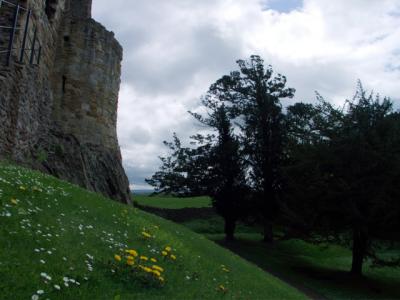 CRW_7160.jpg