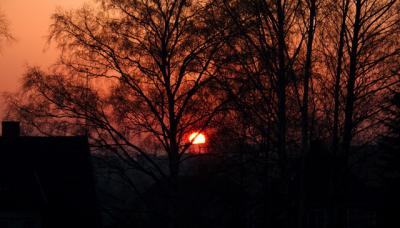 CRW_6236.jpg