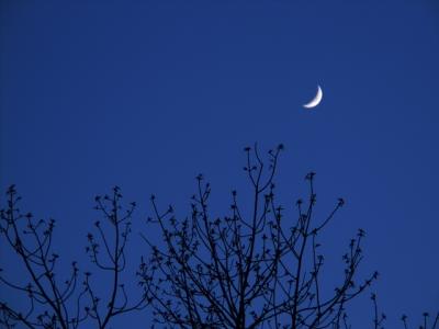 CRW_6446.jpg