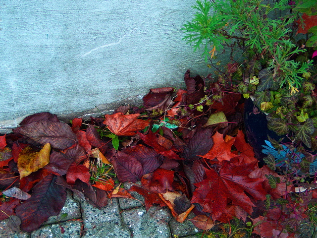 CRW_2345.jpg