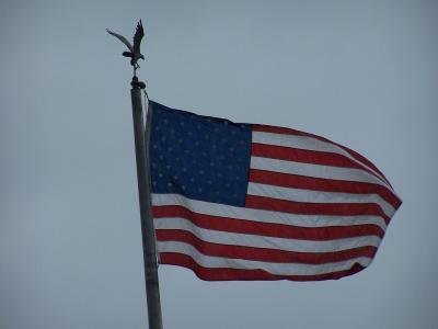 flag with the eagle