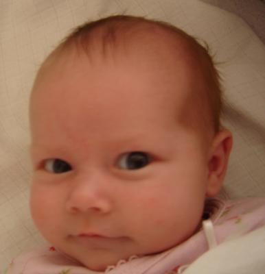 u18/asasdfdf/medium/43024746.Picture058.jpg