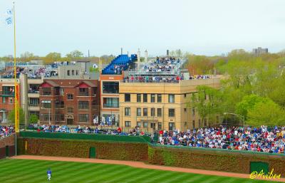 Rooftop Stands - Left Field.jpg