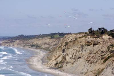 Torrey Pines