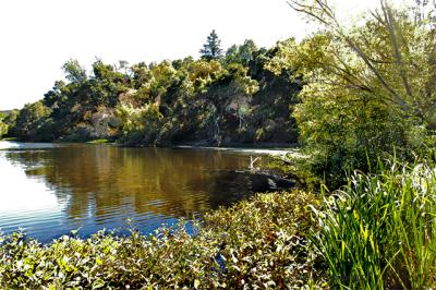 Shadow Reflection on the Pond