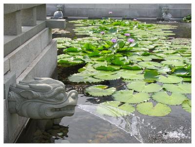 Chi Lin Nunnery