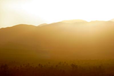 Sunrise and Palms