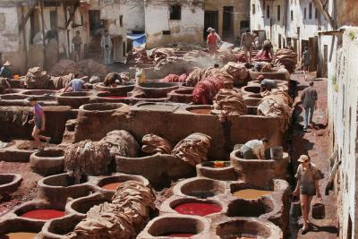 Fes Tannery #1