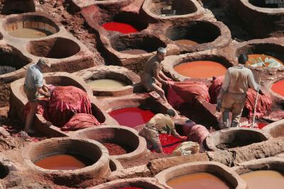 Fes Tannery #3
