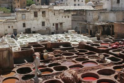 Fes Tannery #4
