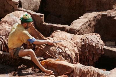 Fes Tannery #9