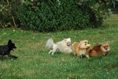 Aug22_04_312.JPG