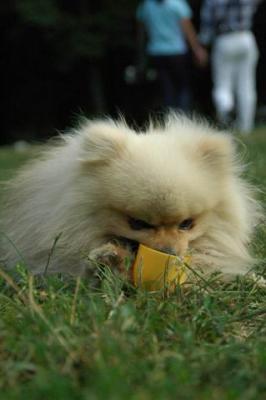 Aug22_04_373.JPG